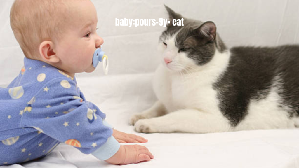 baby:pours-9y= cat