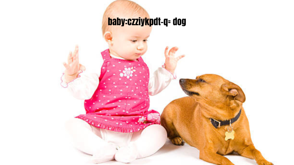 baby:czziykpdt-q= dog