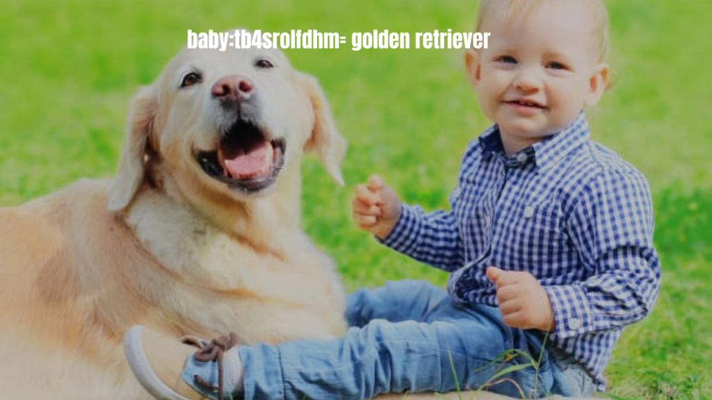 baby:tb4srolfdhm= golden retriever