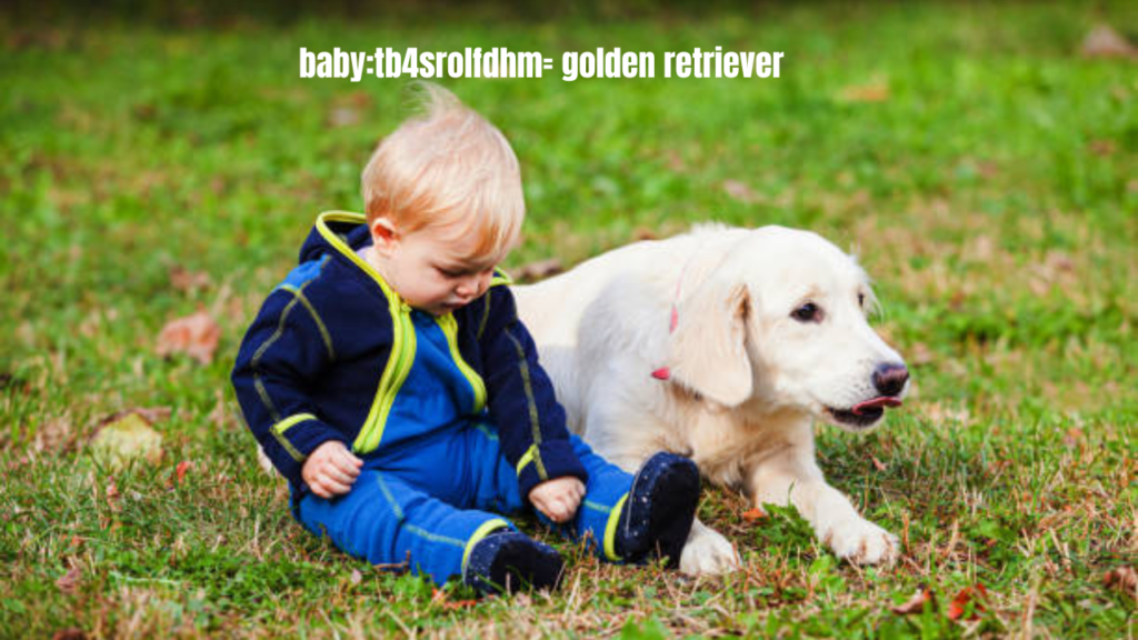 baby:tb4srolfdhm= golden retriever