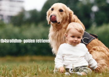 baby:tb4srolfdhm= golden retriever