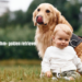 baby:tb4srolfdhm= golden retriever
