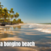 paula bongino beach