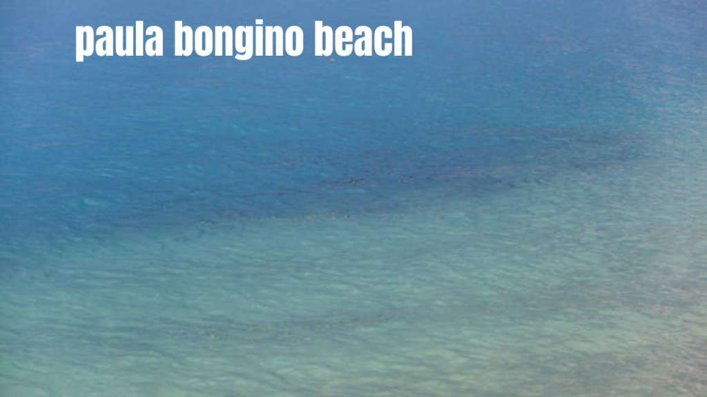 paula bongino beach