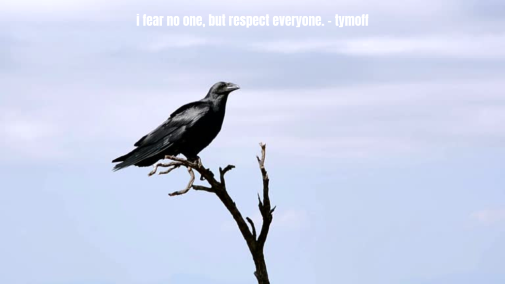 i fear no one, but respect everyone. - tymoff