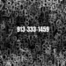 913-333-1459