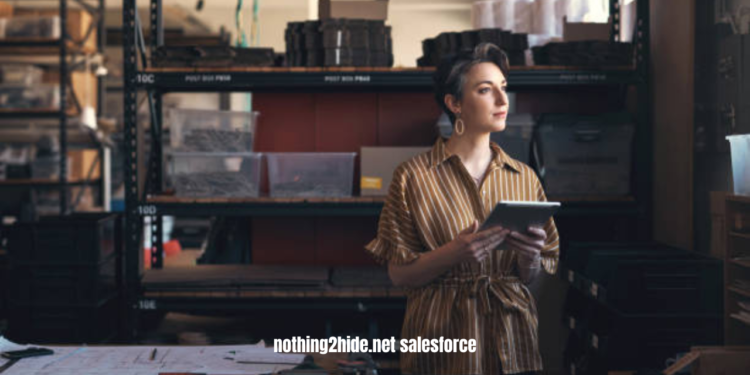 nothing2hide.net salesforce