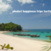 phuket happiness trips turtle village